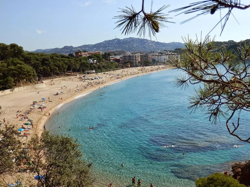Estudio Paz Lloret de Mar España